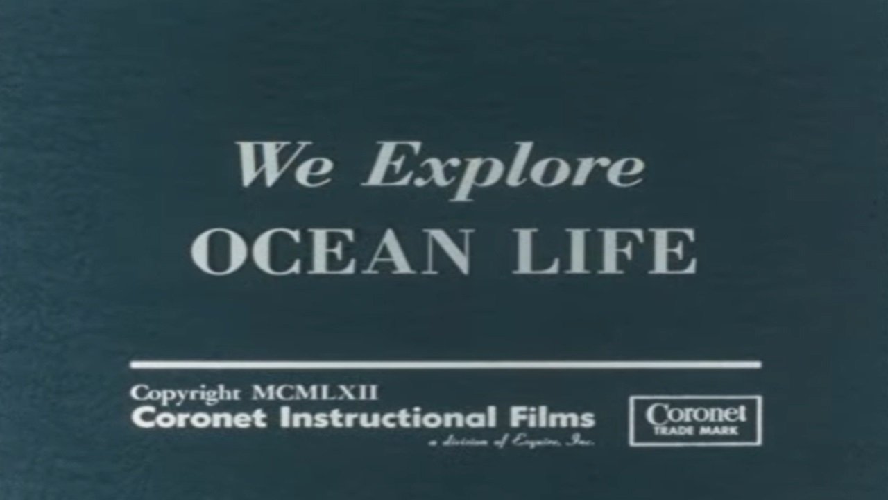 We Explore Ocean Life (1962)