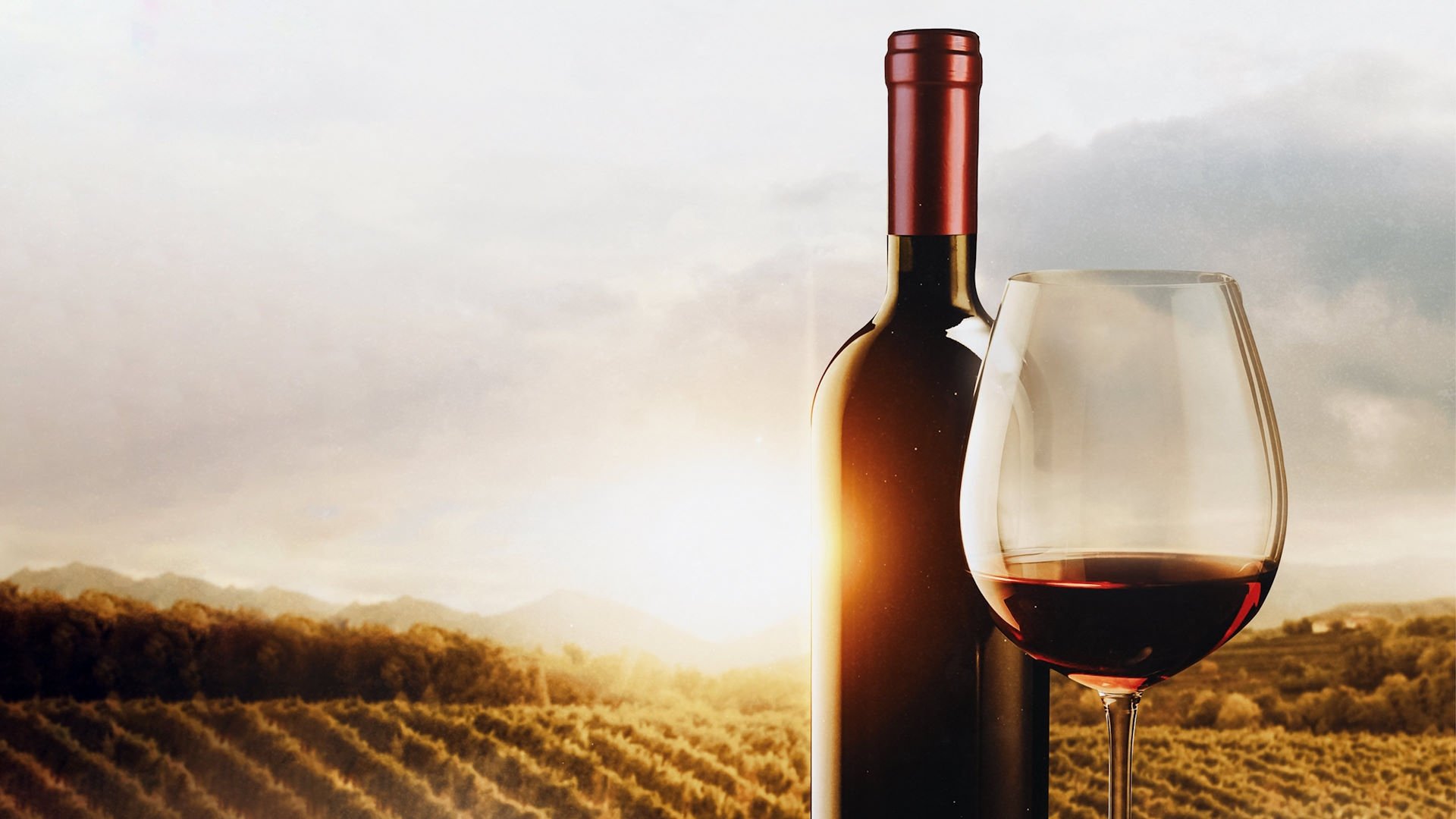 The Mostly Serious History of Wine (2023)