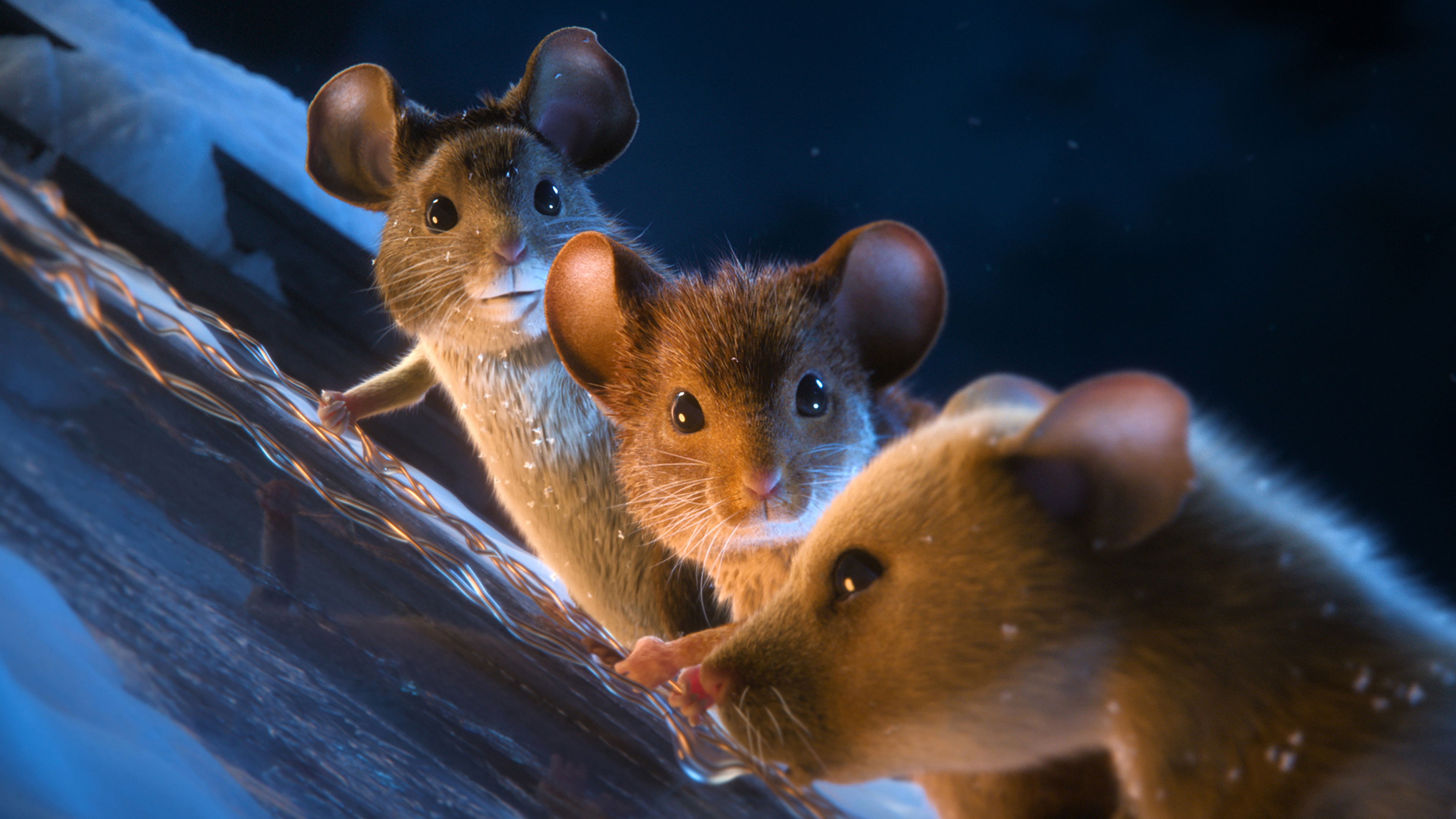 A Mouse Hunt for Christmas