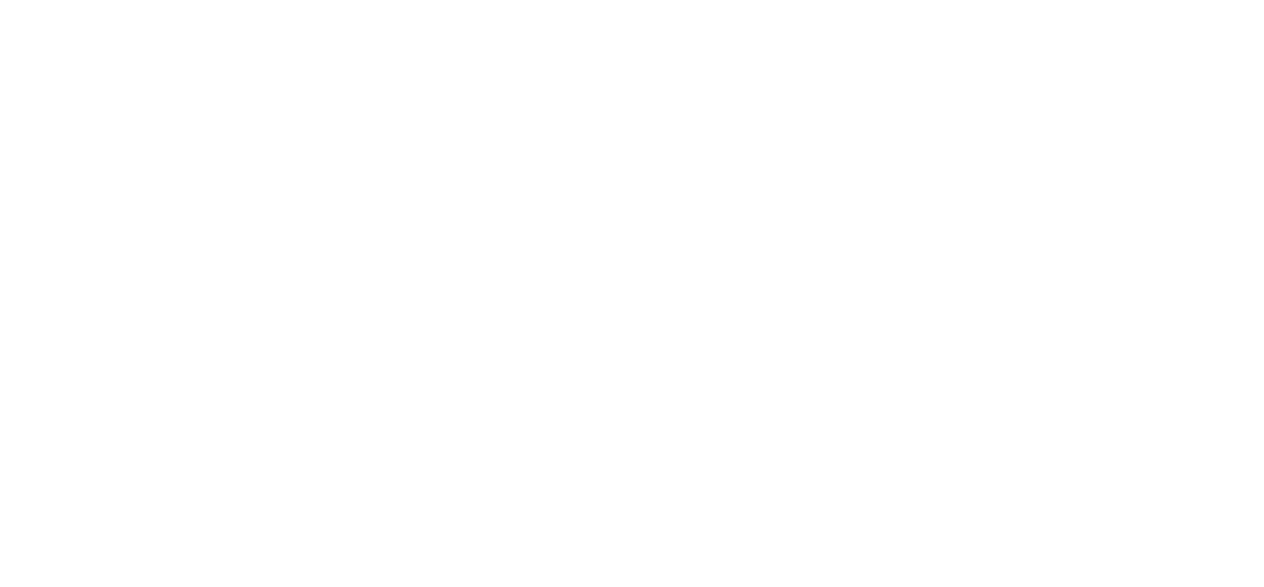 The Spy Gone North Logo
