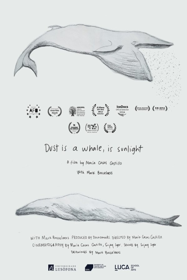 Poster for Dust is a Whale, is Sunlight