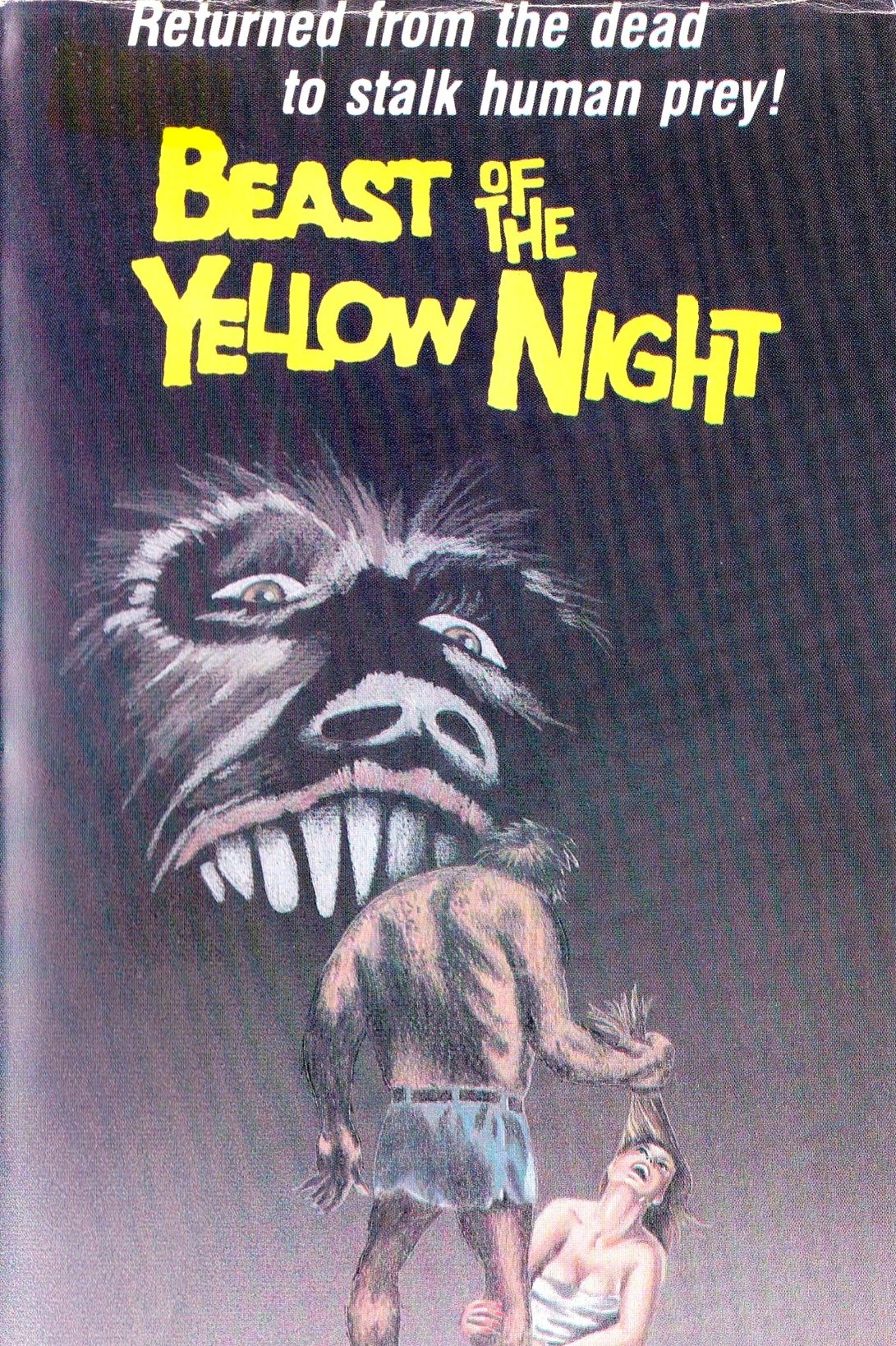 The Beast of the Yellow Night