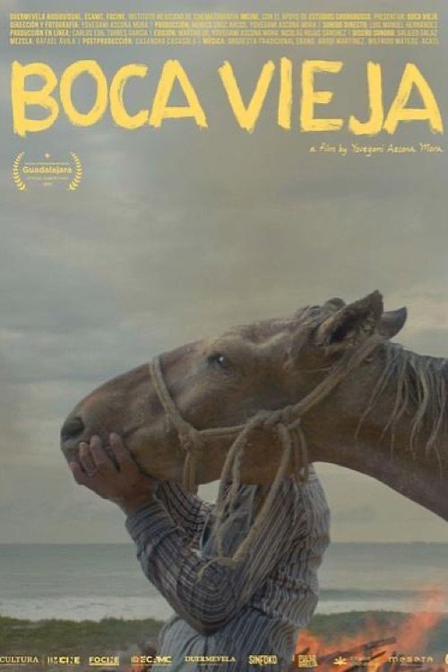 Movie Title