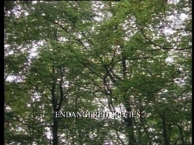 Episódio 10