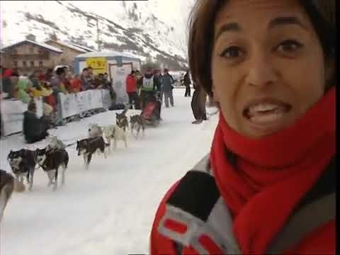 C'est pas sorcier - Les chiens de traîneau : marathoniens des neiges