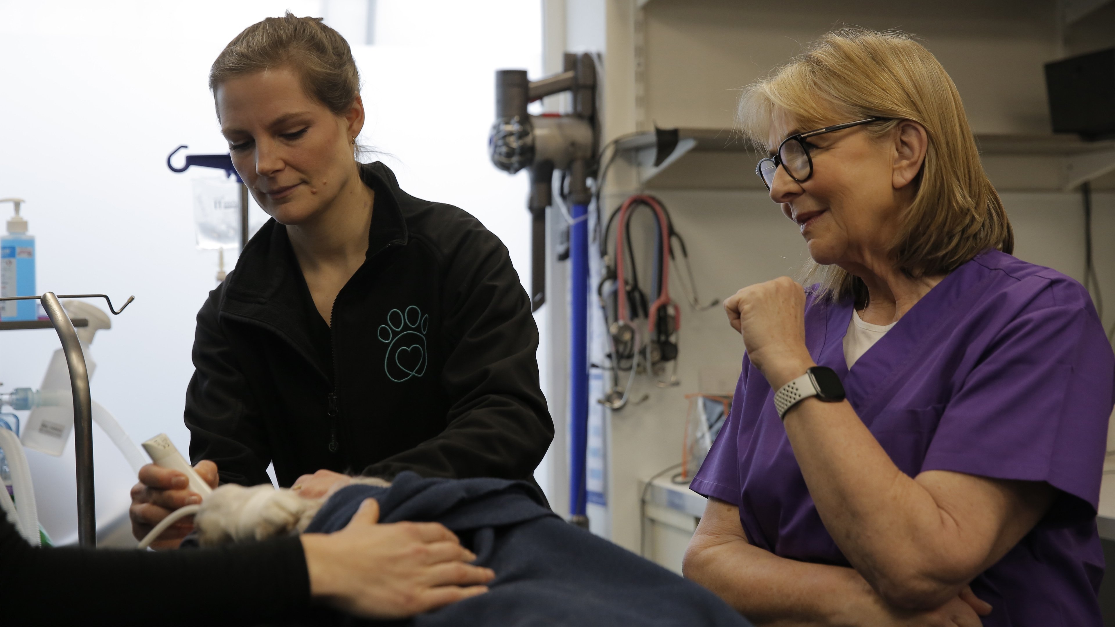 Fern Britton: Inside The Vets