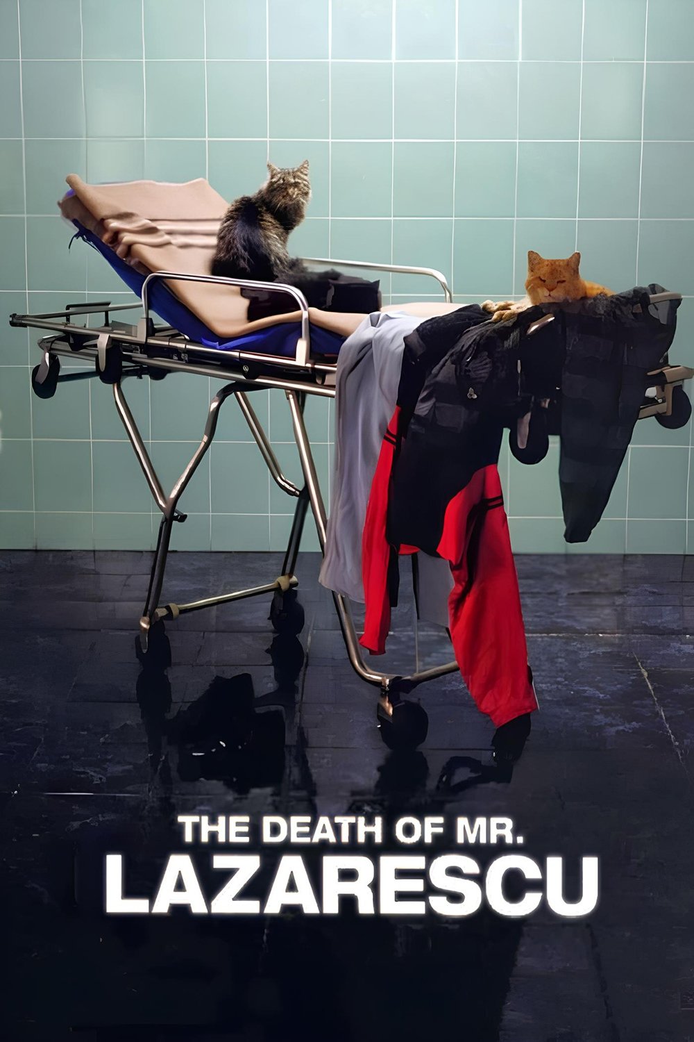 The Death of Mr. Lazarescu