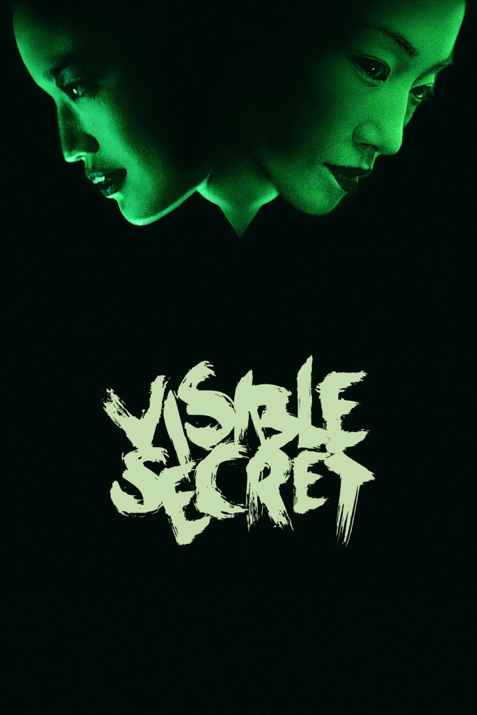 Visible Secret