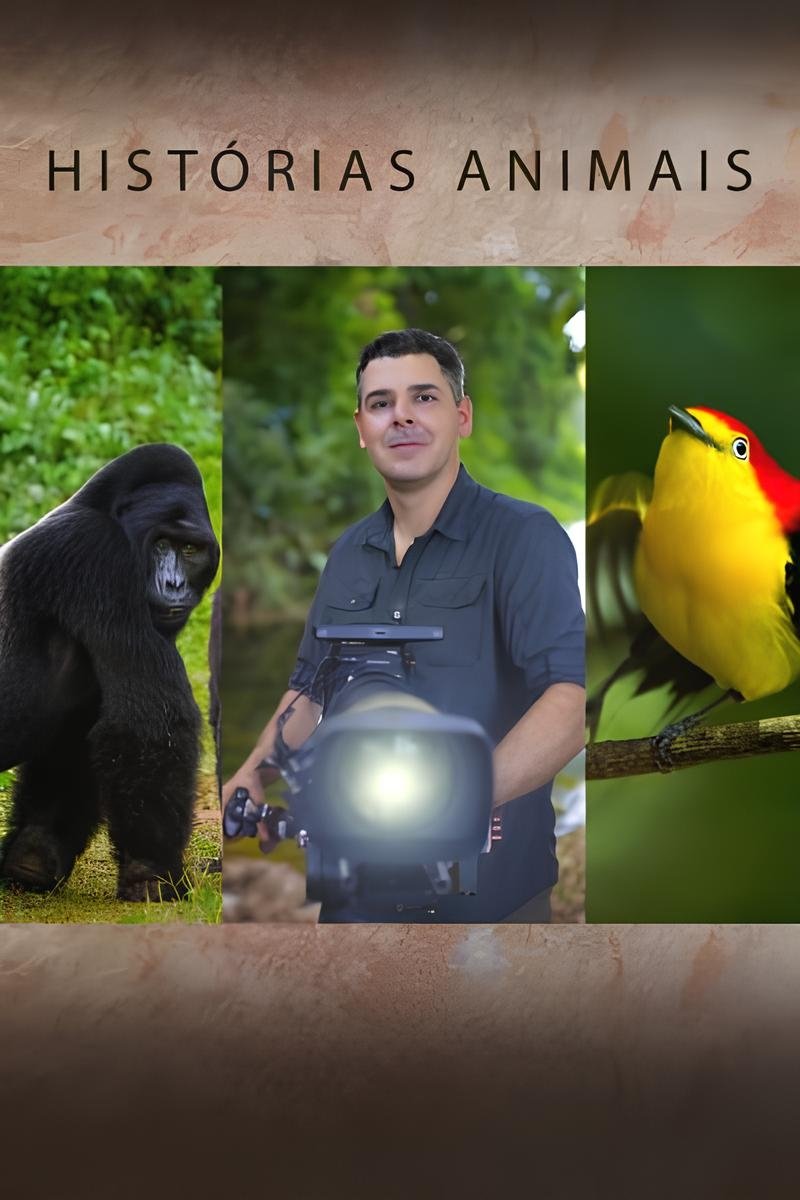 Histórias de Animais Histórias de Animais
