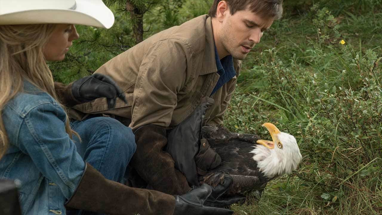 Heartland - Paradies für Pferde Staffel 9 :Folge 6 