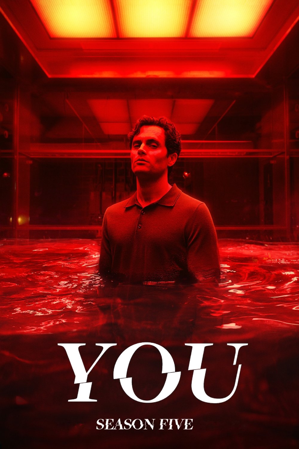You - Season 5