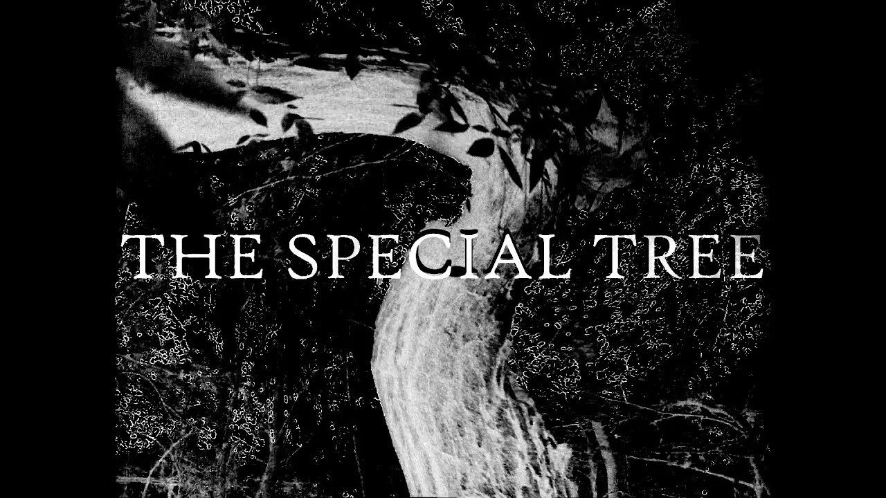 Thumbnail for THE SPECIAL TREE Season 1 Episode 3