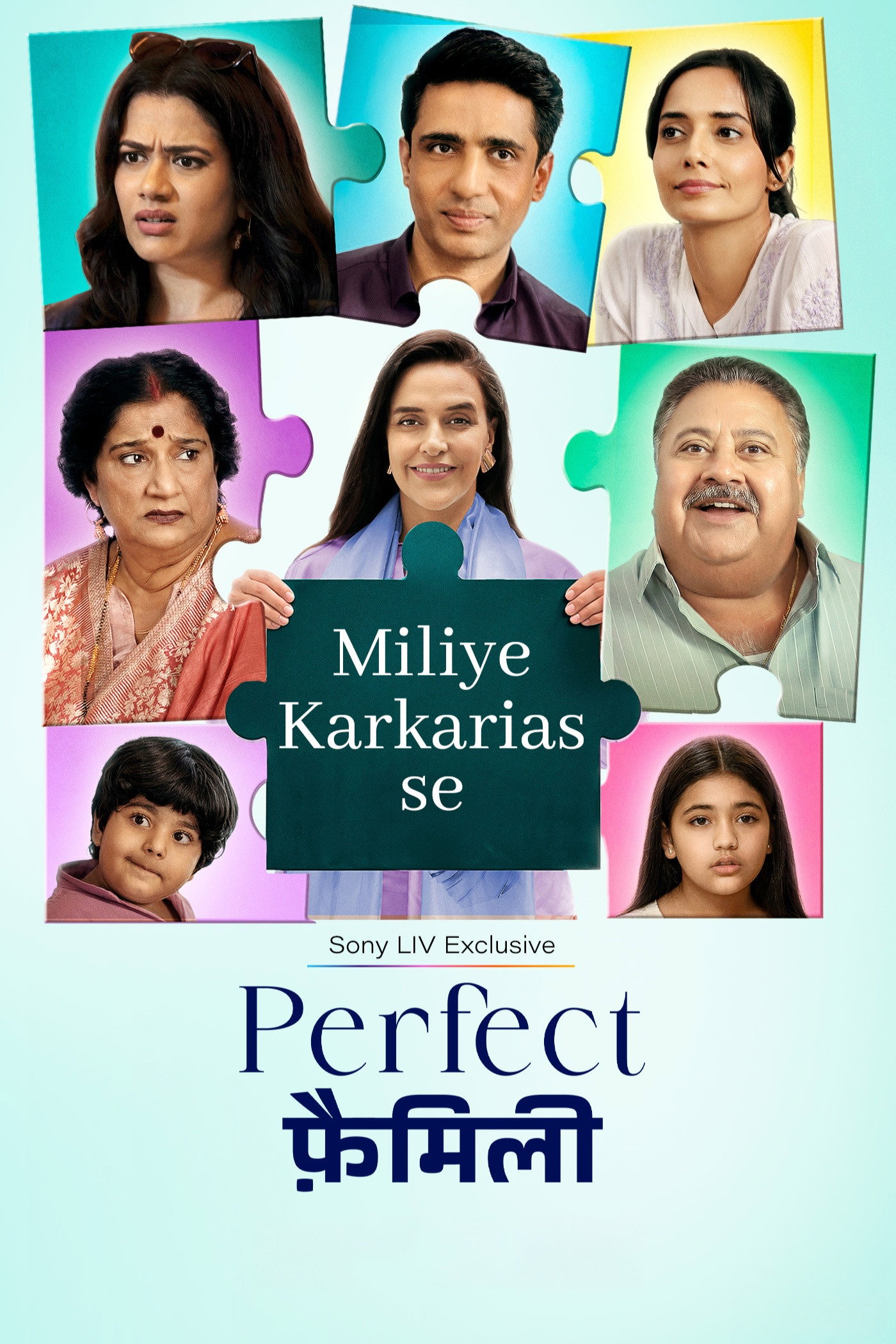 Perfect Family Season 1 (2025) [Hindi] 4K 2160p 1080p 720p 360p SonyLIV WEB-DL ESub