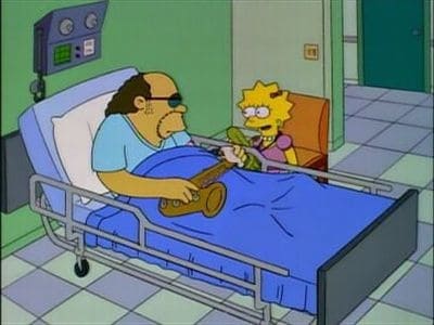 The Simpsons Season 6 :Episode 22  Round Springfield