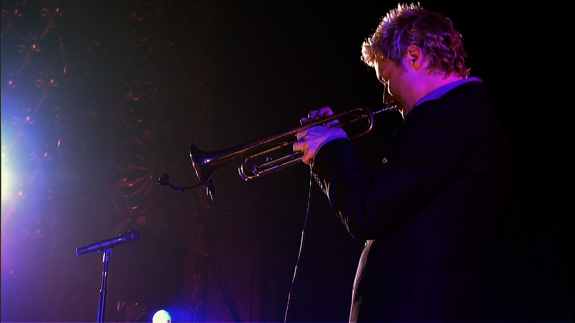 Chris Botti Live: With Orchestra and Special Guests (2006)