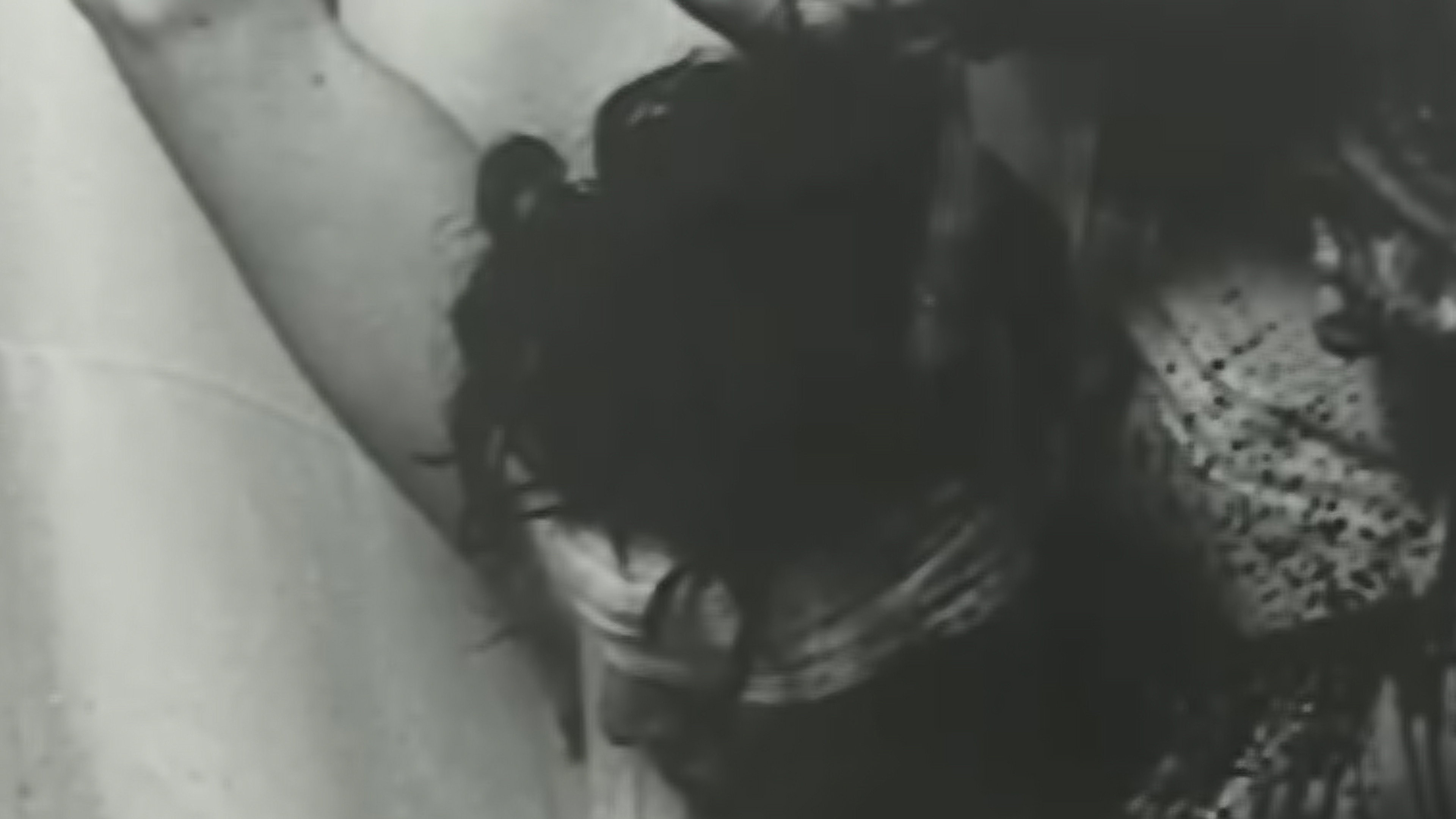 Das Aktionstheater Des Hermann Nitsch Zwischen Herkunft Und Zukunft