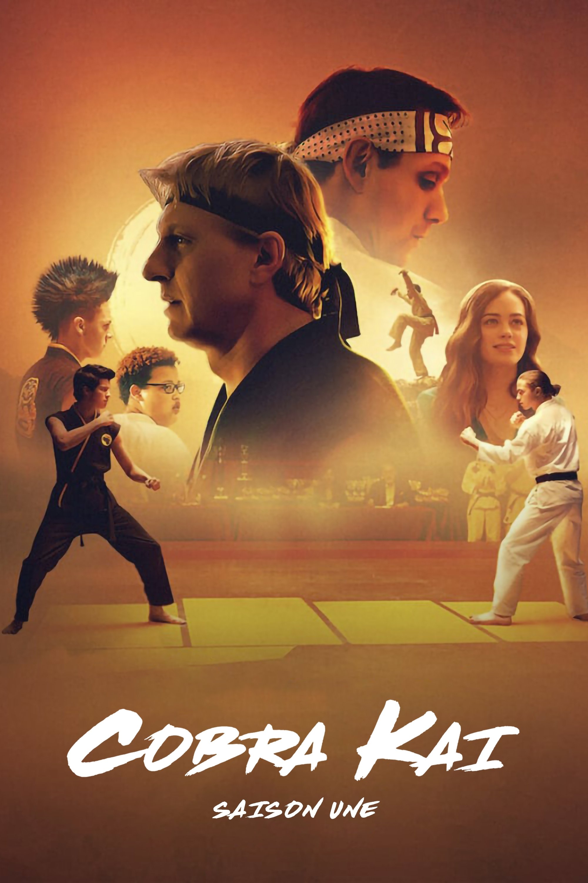 Cobra Kai TV Series 2018 Affiches The Movie Database TMDB