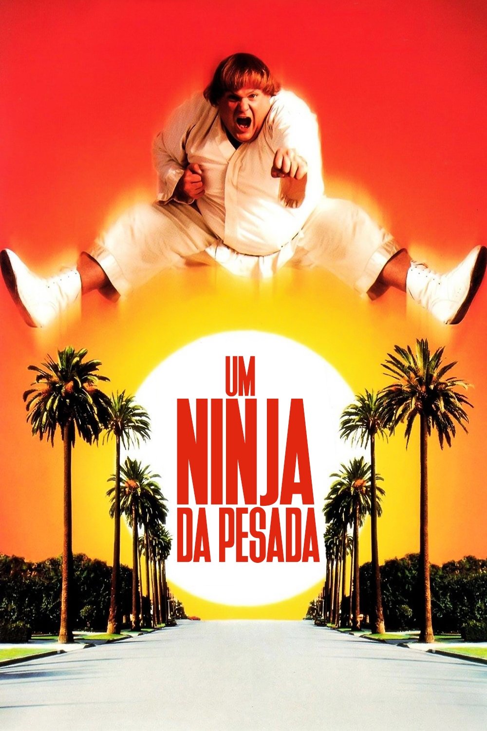 Um Ninja da Pesada Um Ninja da Pesada