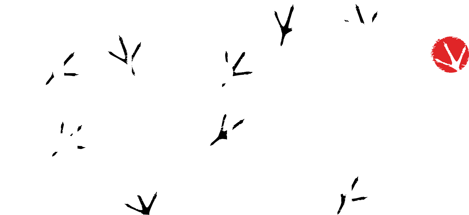 Rooster Fighter