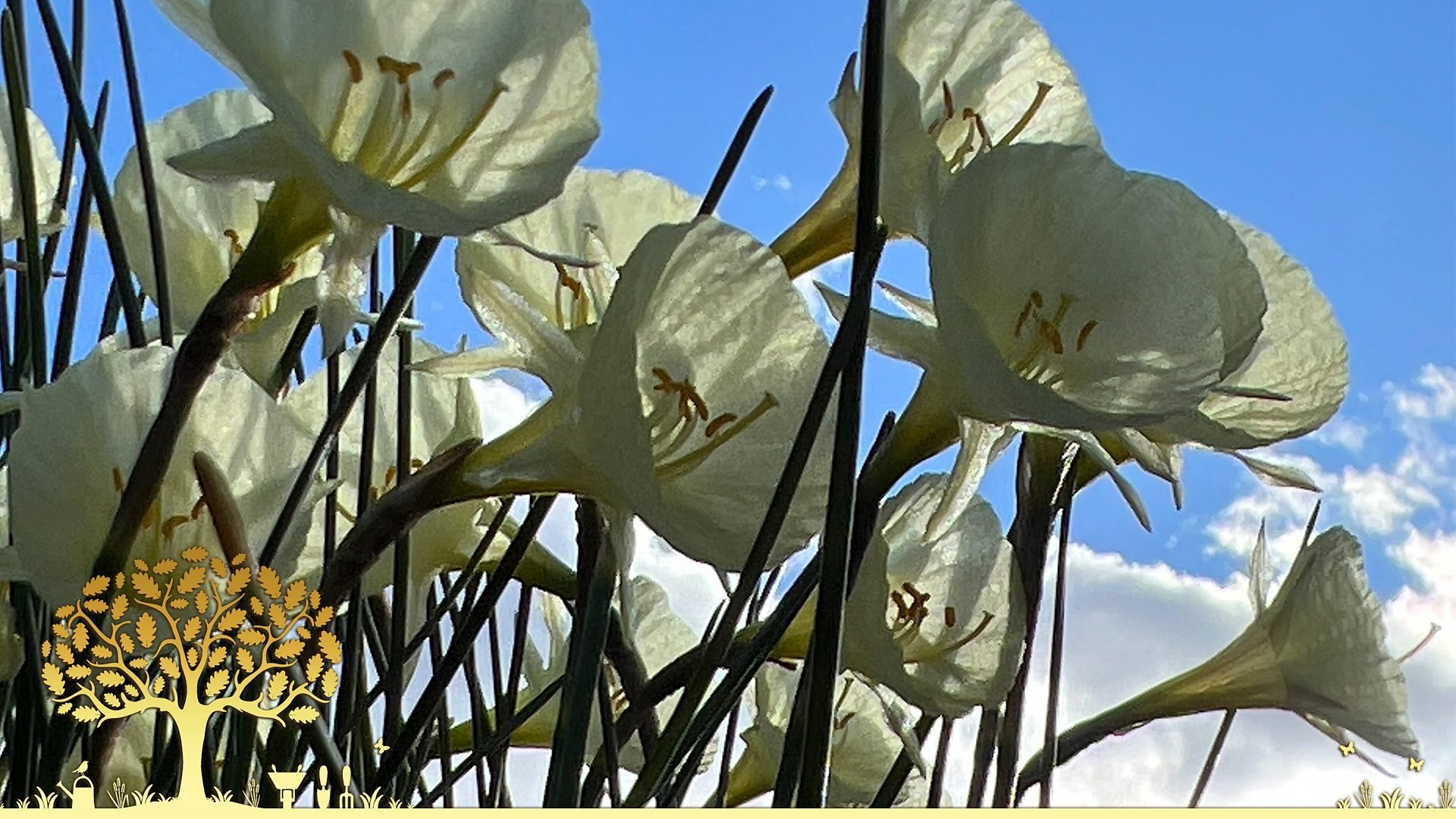 Gardeners' World 56x1