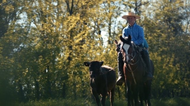 Thumbnail for The Fall Season 1 Episode 6