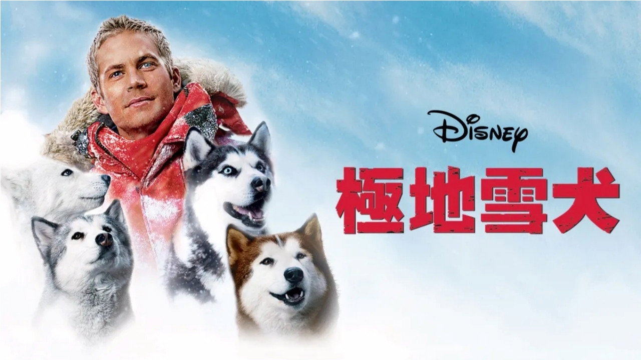 Eight Below