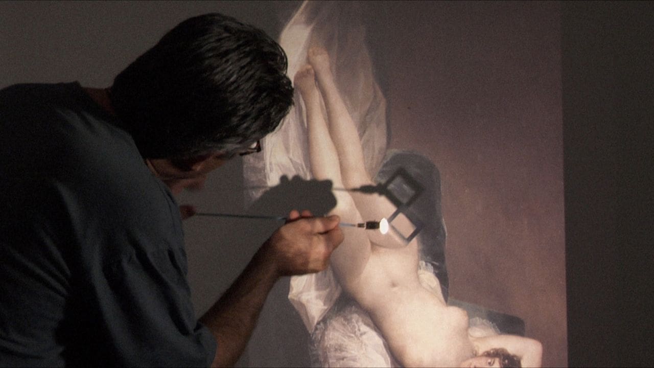 Goya: el secreto de la sombra (2011)