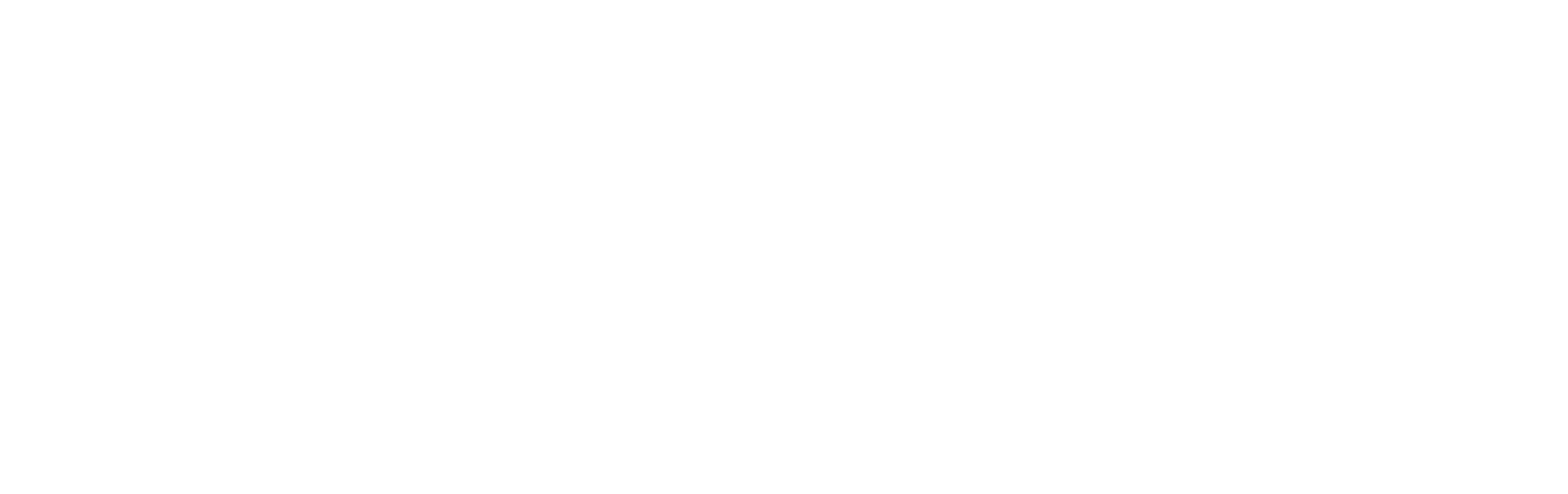 Donna Hay Christmas Logo