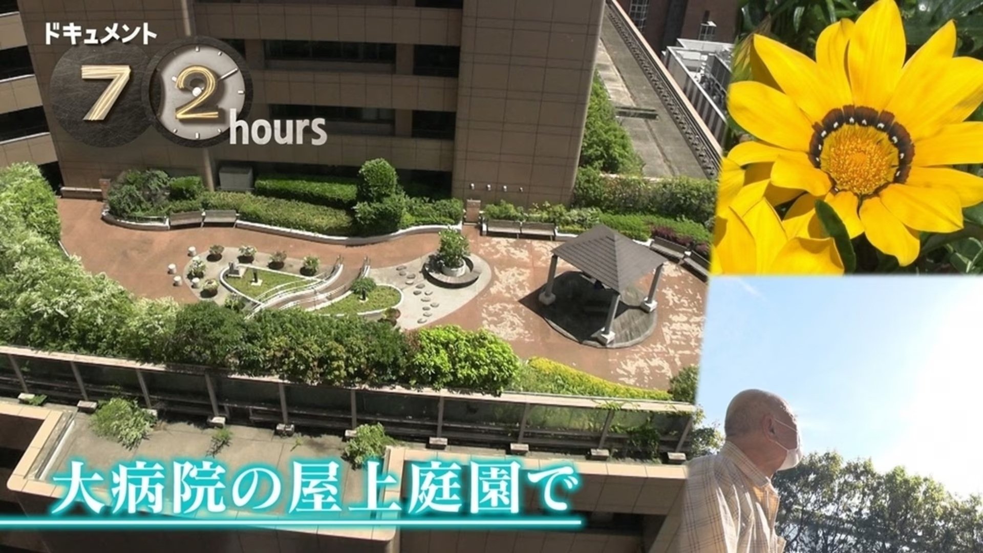 Document 72 Hours