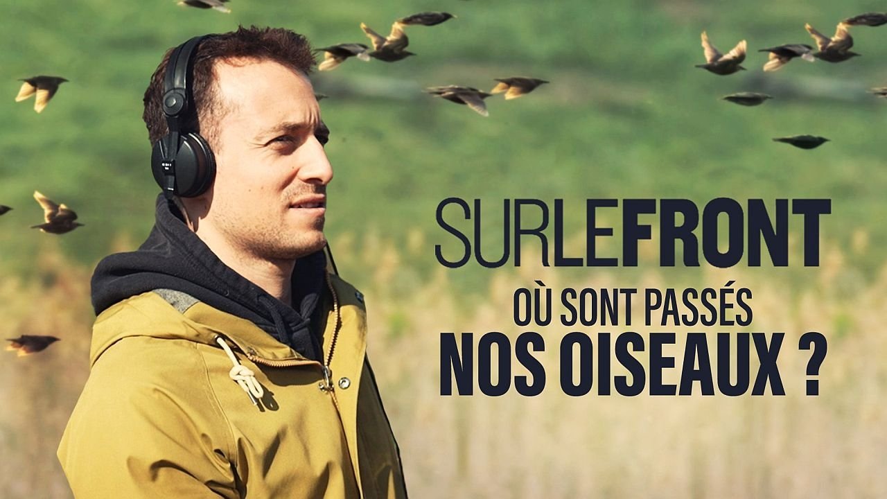 Sur le front - Où sont passés nos oiseaux ?