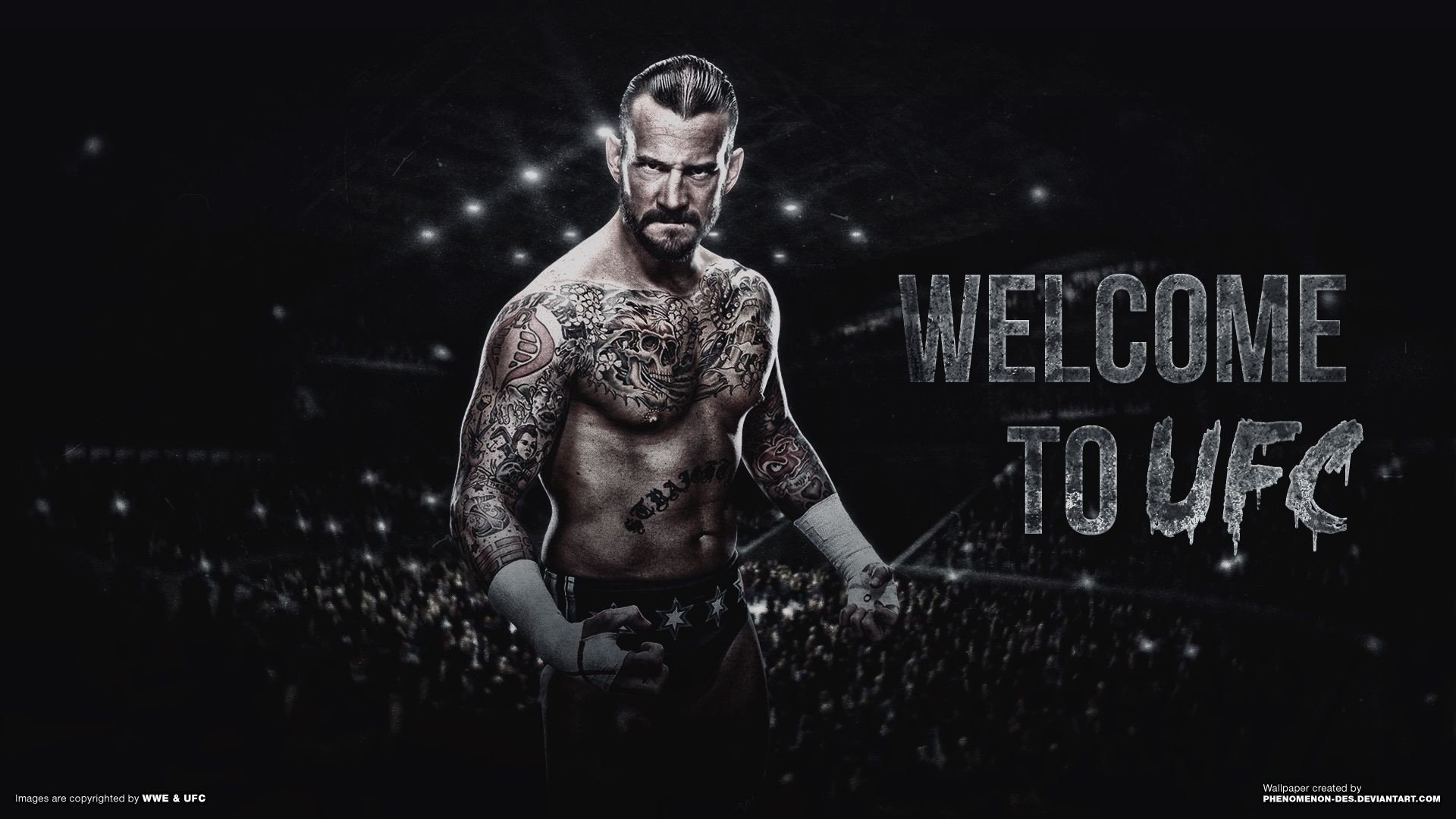 Ultimate Fight Championship poster