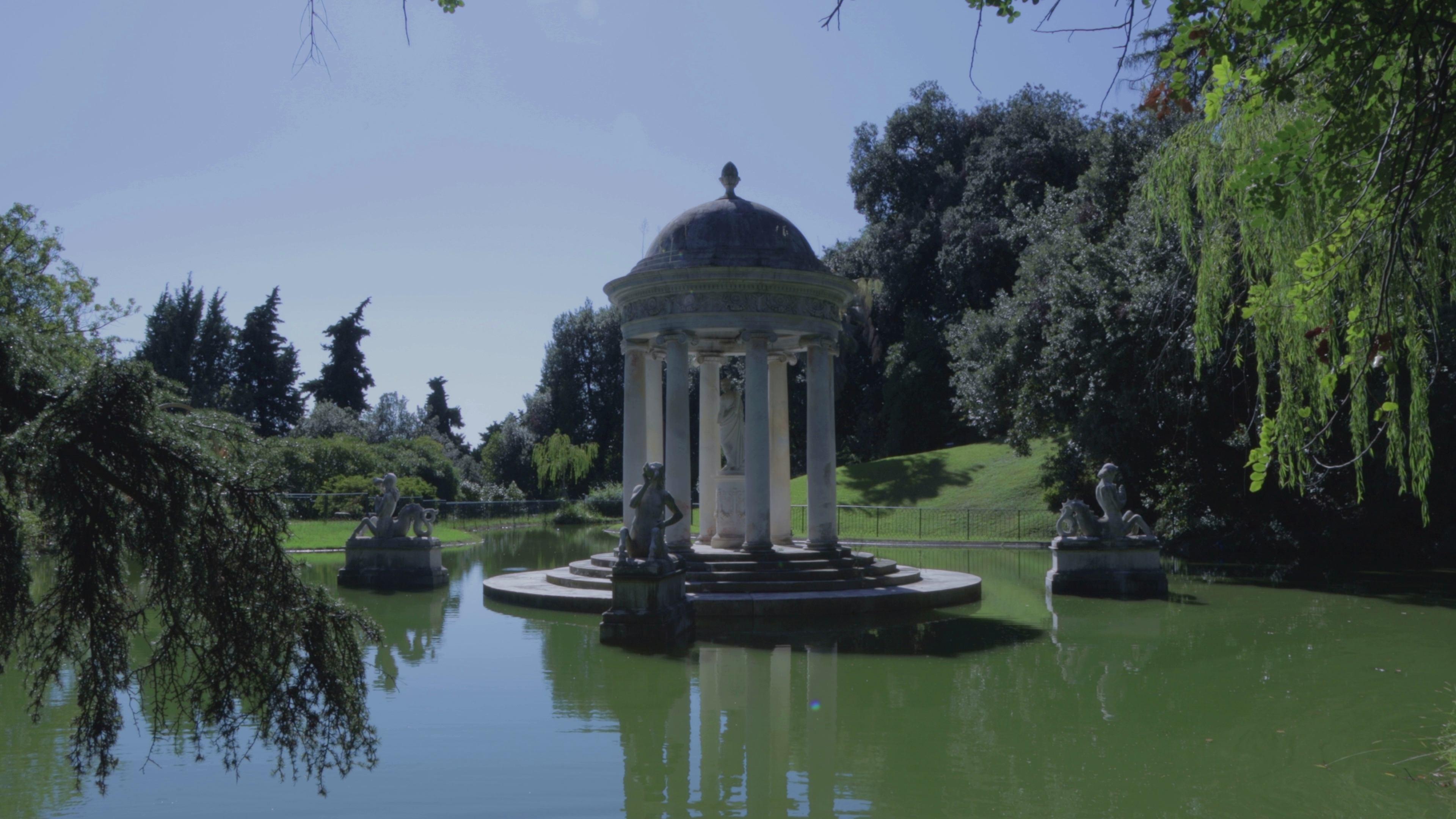Nel silenzio del parco
