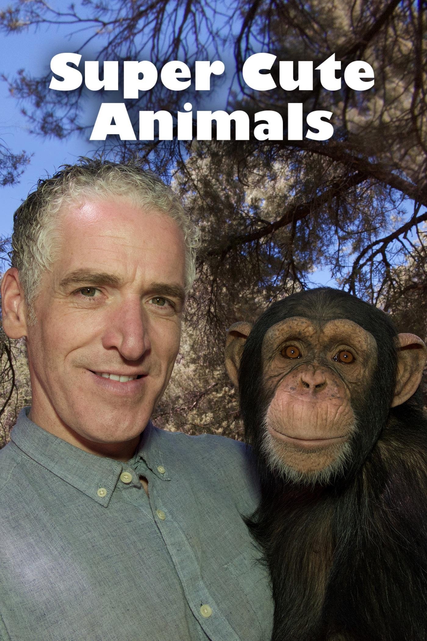 Super Cute Animals