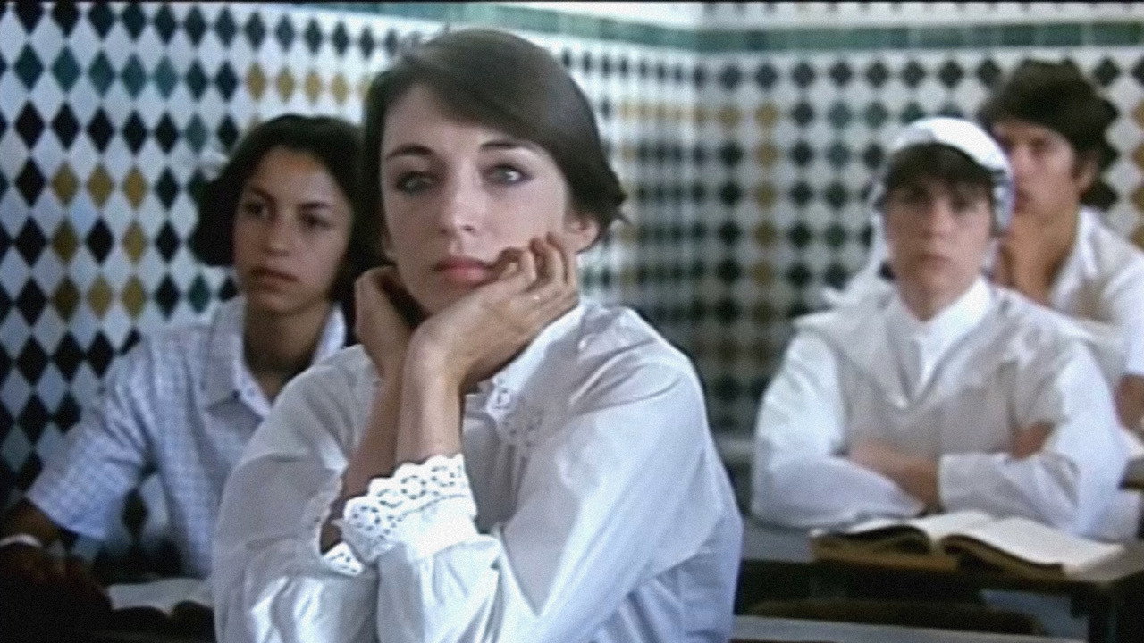 Forty-four, or Bedtime Stories