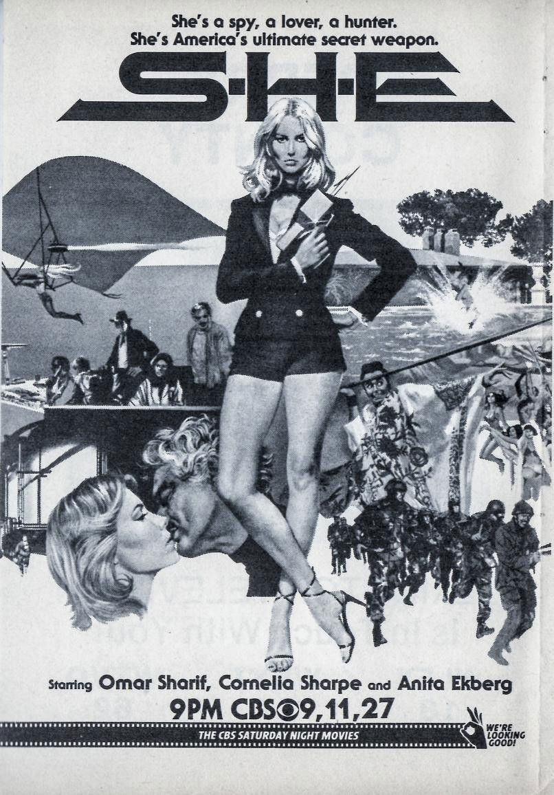 S+H+E: Security Hazards Expert