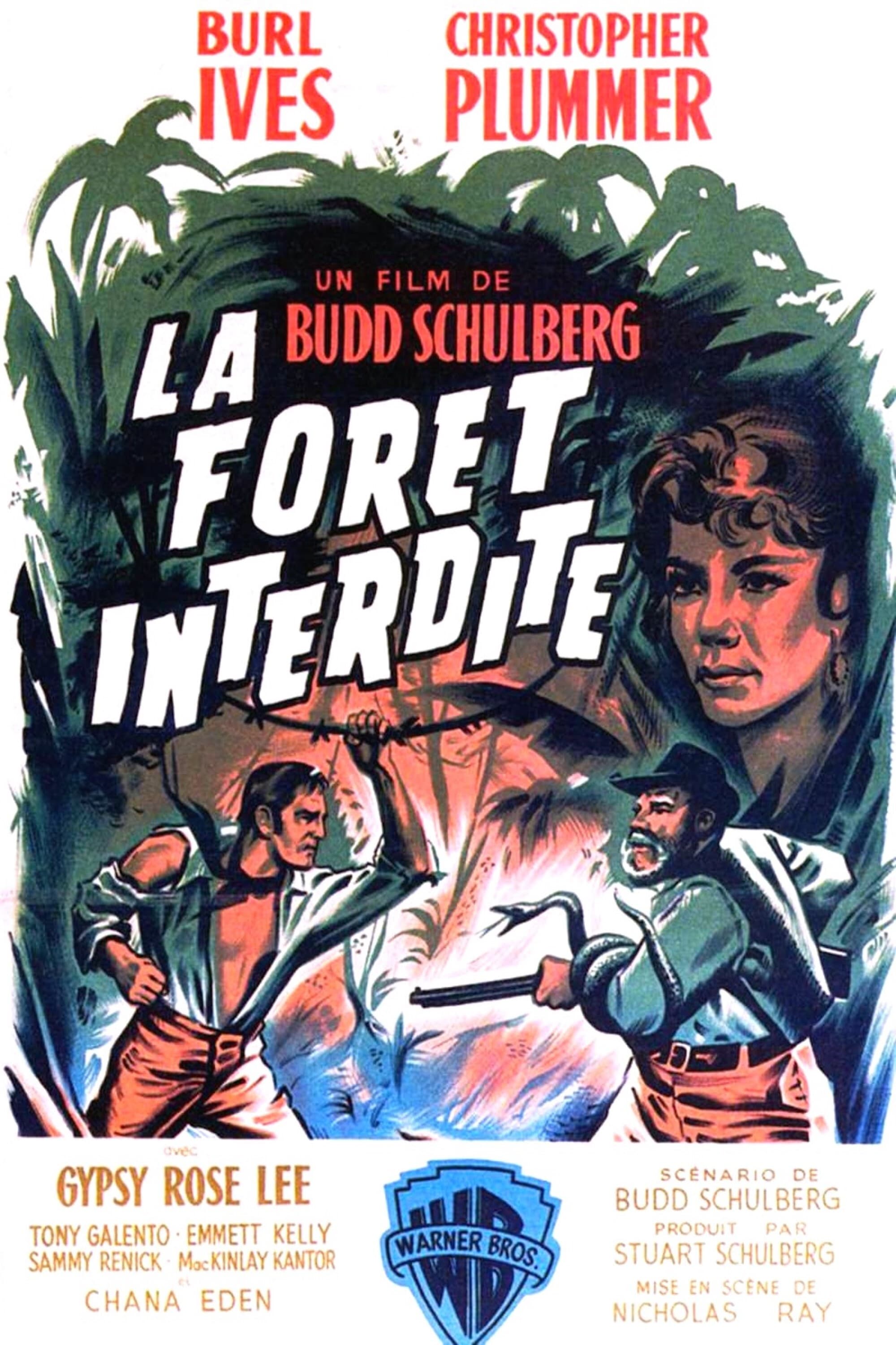 Affiche du film La Forêt interdite 12663