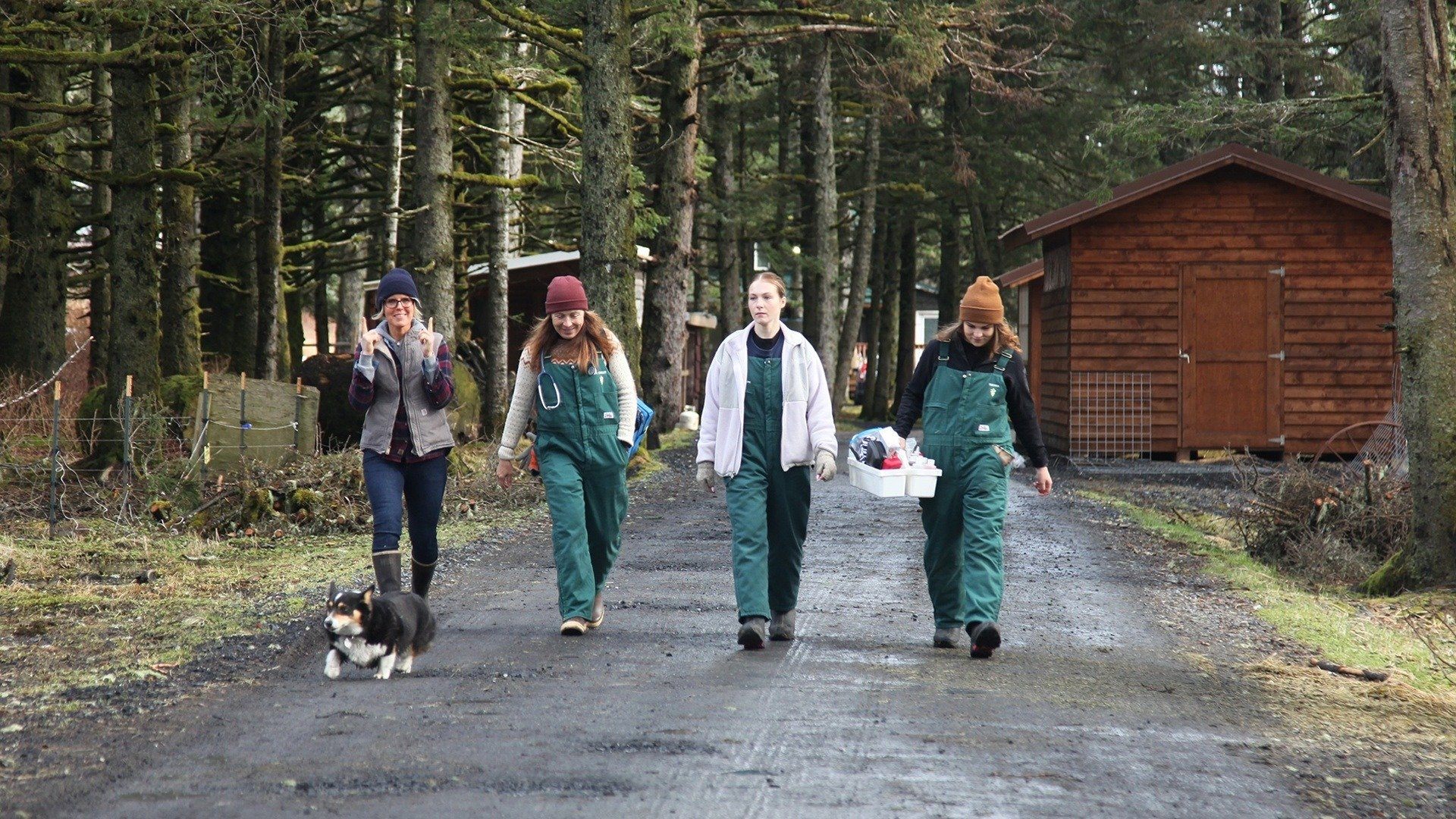 Dr. Oakley, Yukon Vet