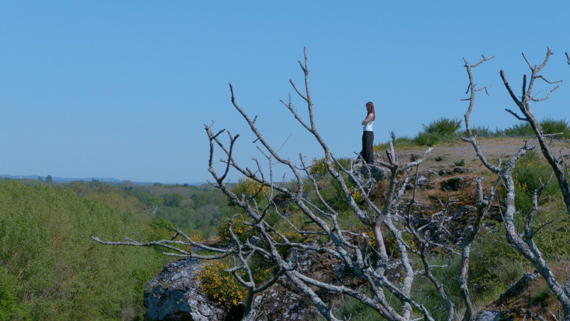 À L'Abri D'Un Double Soleil