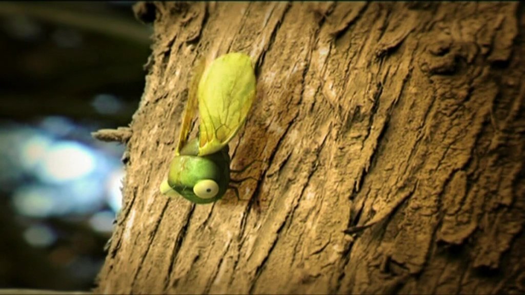 Cicada's Song