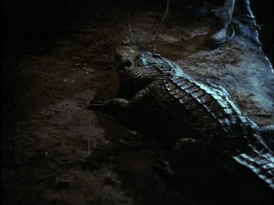 Swamp Thing