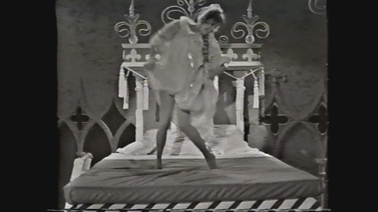 Once Upon a Mattress (1964)