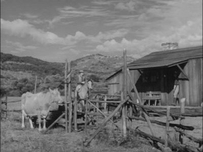 Gunsmoke