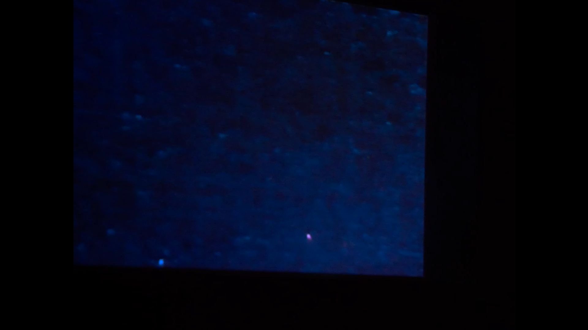 Imagem do Filme Joyce