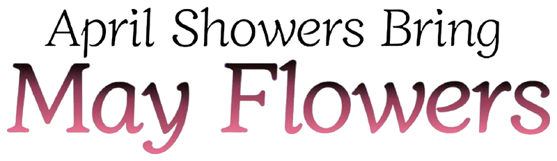 A Bouquet for an Ugly Girl