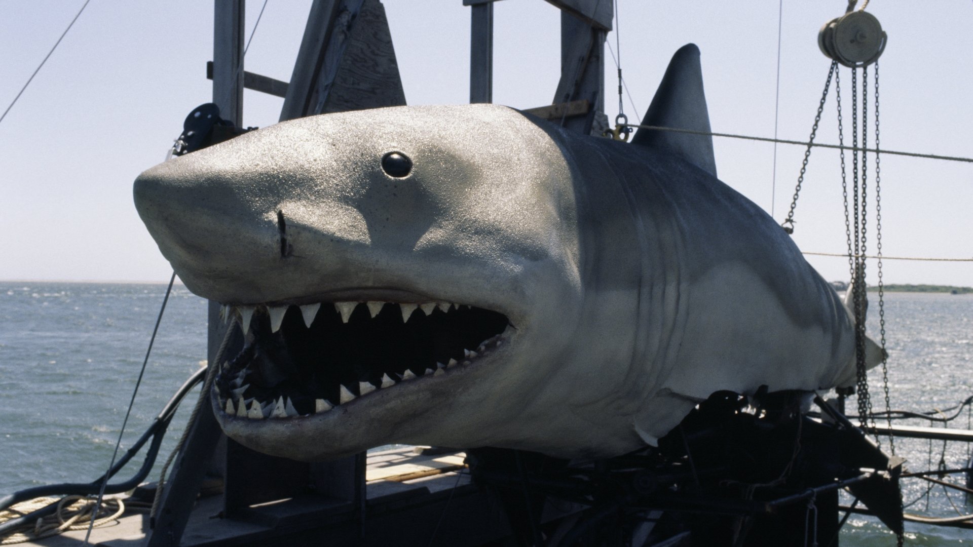 The Making of Jaws 2 (2001)