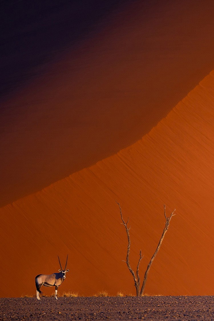 Namibie : exceptionnelle par nature