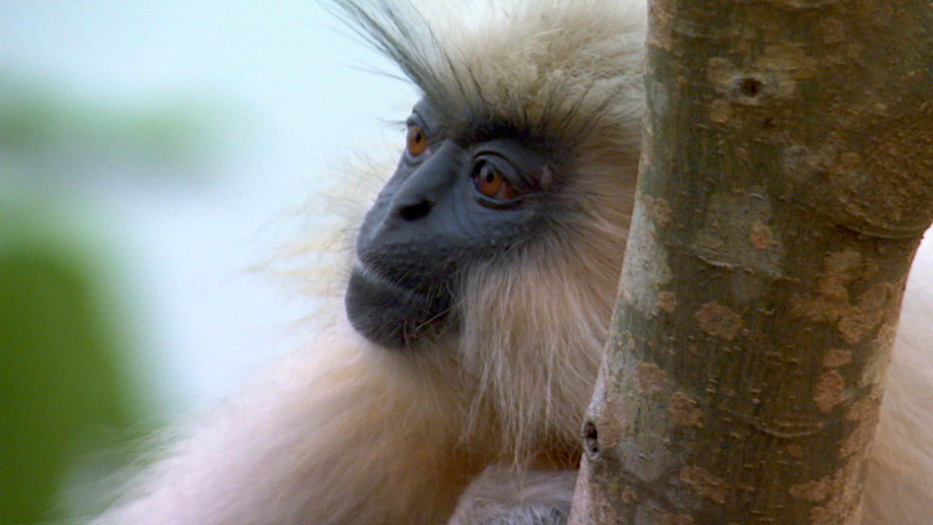 Earth Odyssey with Dylan Dreyer S02E28 backdrop