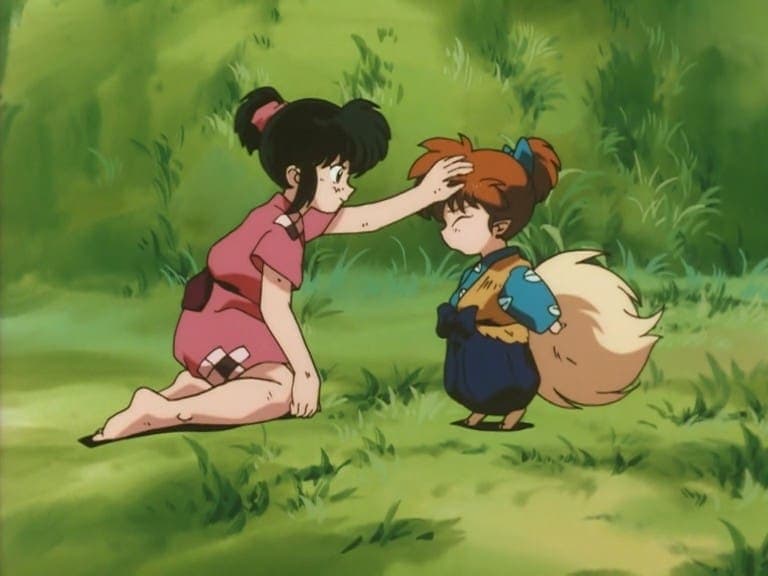 InuYasha " The Stone Flower and Shippo's First Love.