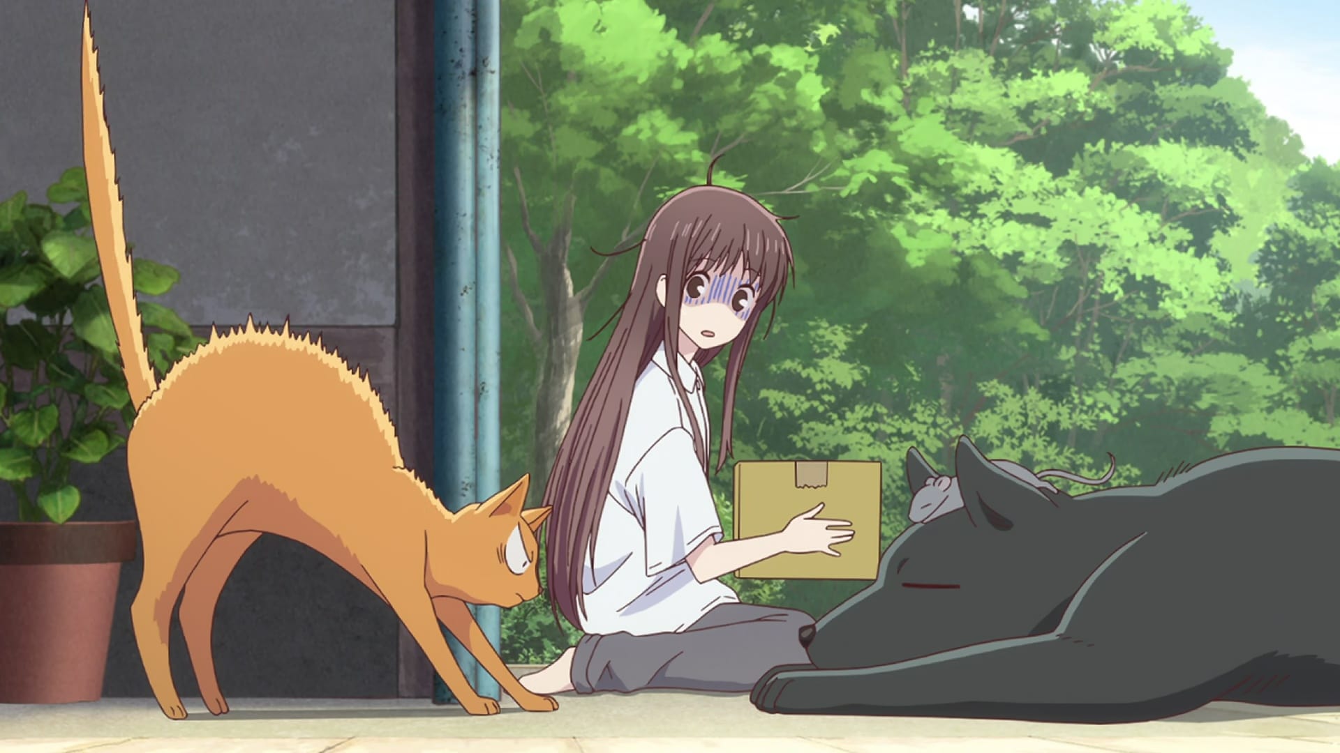 Fruits Basket Staffel 1 :Folge 2 