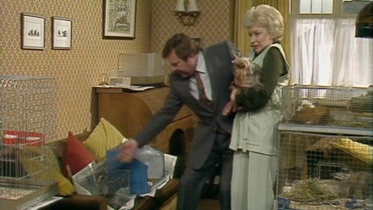 Terry and June